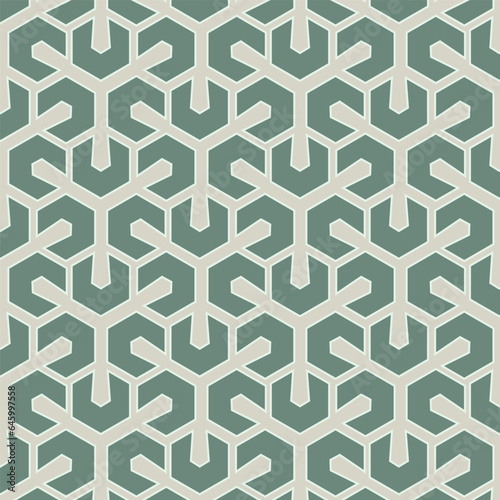 Hexagonal geometric pattern, green, cloth pattern, wrapping paper, abstract background pattern