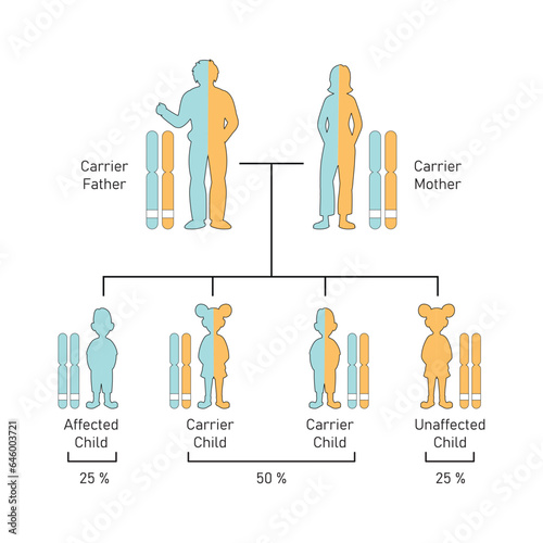 Autosomal Recessive Inheritance Concept Design. Vector illustration.