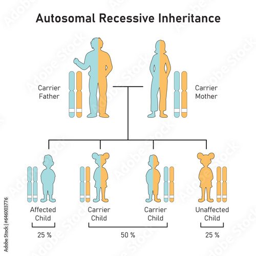Autosomal Recessive Inheritance Concept Design. Vector illustration.