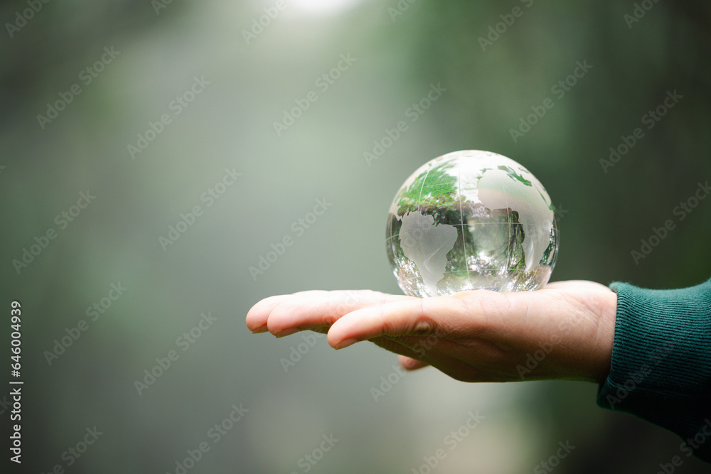 Hands Holding Globe Glass In Green Forest. Forest conservation concept. Environment Concept. elements of this image furnished by NASA