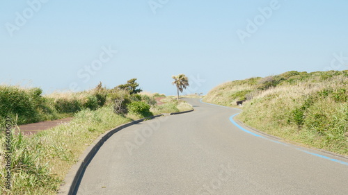 海へ続く道
