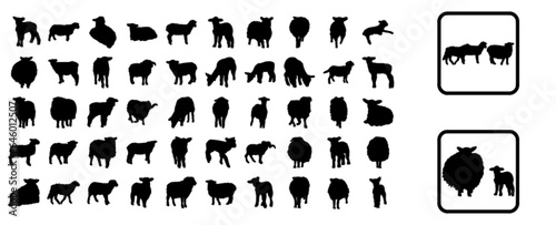 Sheep (animal set)