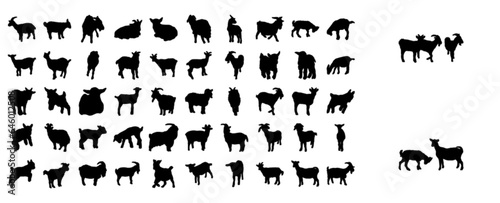 Goat (animal set)