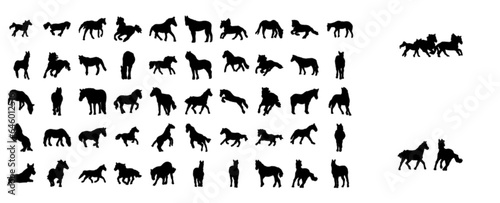 Horse (animal set)