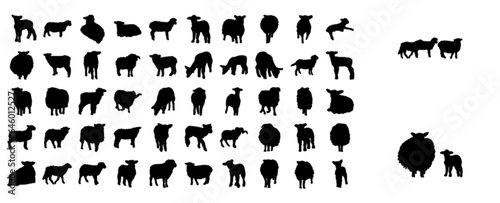 Sheep (animal set)
