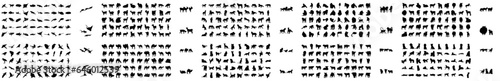 Animal set