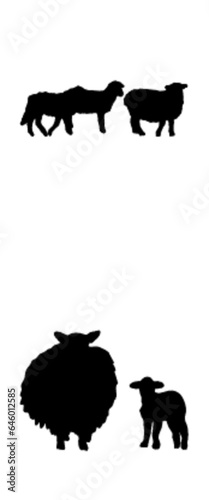 Sheep (animal set)