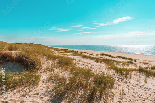 Beach landscape under blue sky on Sylt island, Germany