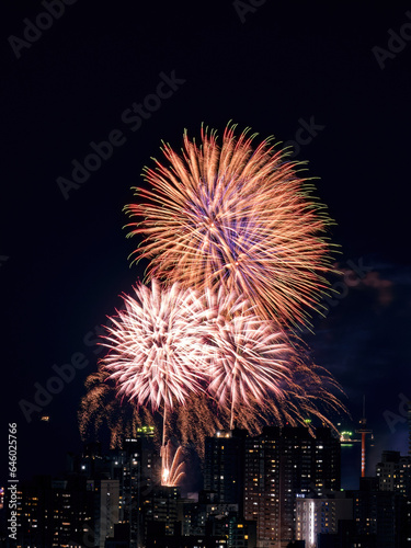 Fireworks in the city at night time. © CarlosTamsui