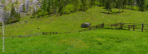 Landschaft und Naturschutzgebiete rund um den Obersee, Nationalpark Berchtesgaden, Bayern, Deutschland
