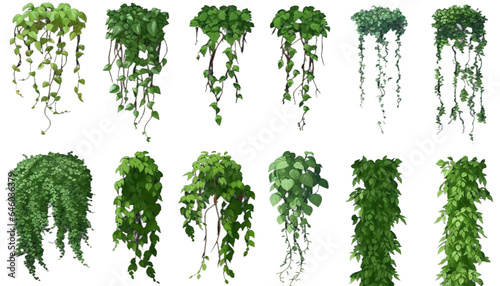 Photo Set of various creeper plants, 3d render, transparent background, png cutout