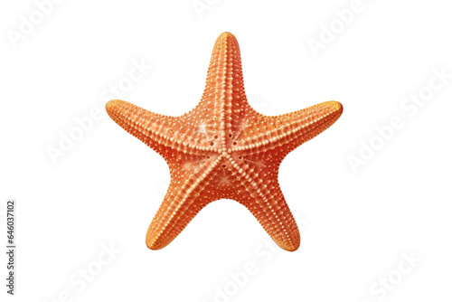 Starfish. isolated object, transparent background