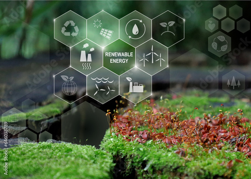 エコロジーアイコン：環境保護、切り株の上に緑の苔（胞子体）クリーンな再生可能エネルギー photo