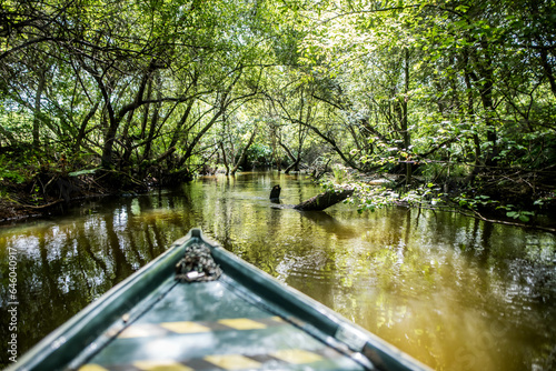 Visit the Courant d'Huchet by boat in Moliets in the south west of France