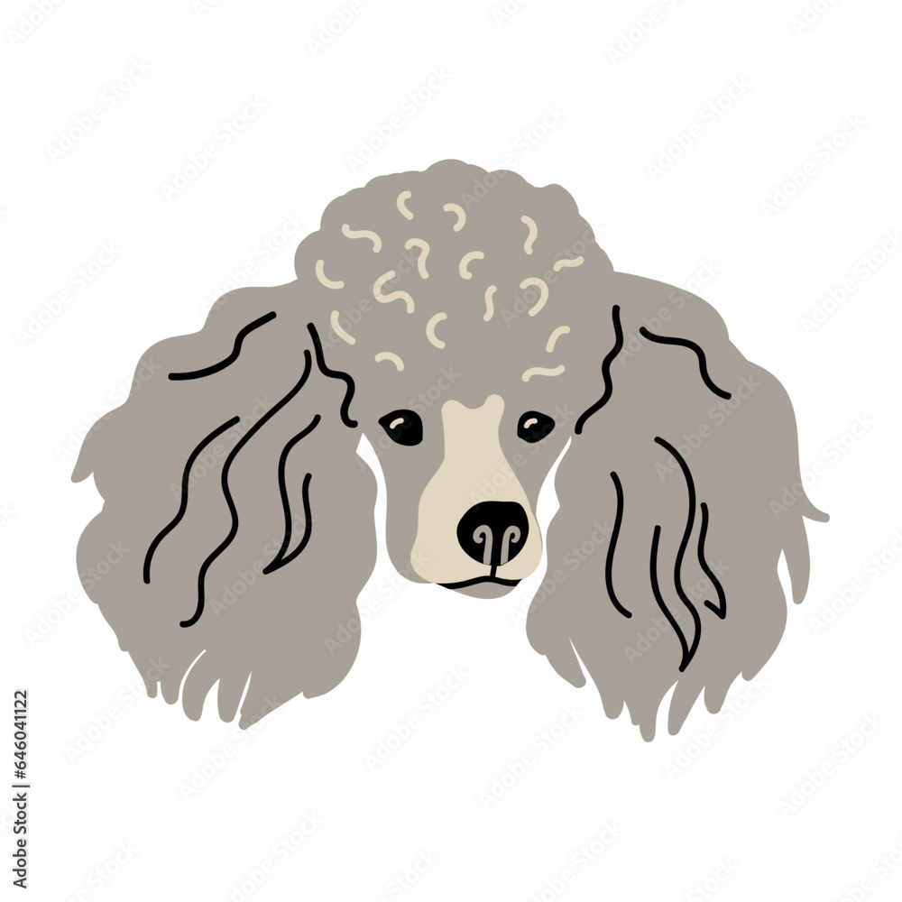Poodle Dog Portrait Illustration