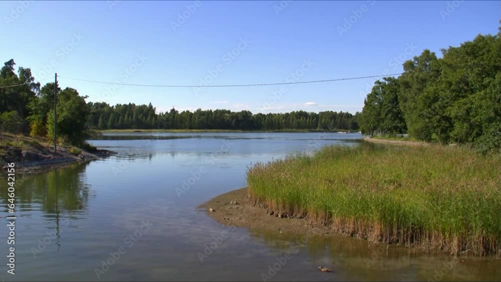 Forested Scandinavian Bay Forested Scandinavian Bay
