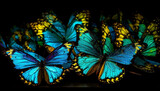 Vibrant butterfly wing decor showcases natural beauty and elegance indoors generated by AI