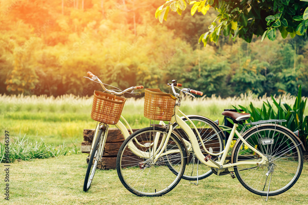 Two beautiful retro bicycle parked on green grass in farmland with blurred image of meadow in the background.  Taking a rest after cycling in the agriculture park. Beautiful vintage bicycle in garden.