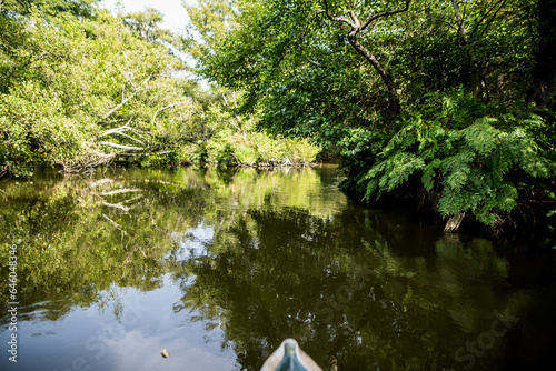 Visit the Courant d Huchet by boat in Moliets in the south west of France