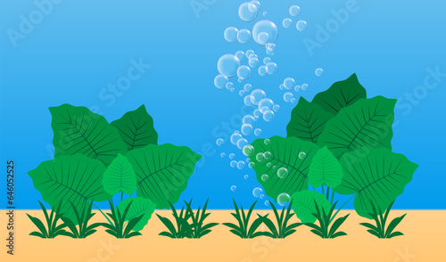 Underwater background. Blue underwater fizzing air bubbles and seaweed