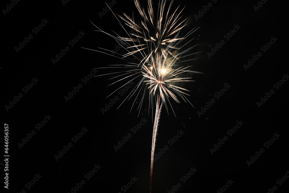 Fireworks on black sky
