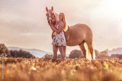 Friendship scene: A young blonde woman spending time with her haflinger horse in summer outdoors during sunset