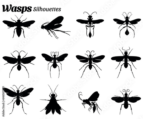 Set of vector illustrations of wasps insect animal silhouettes © Ascreator