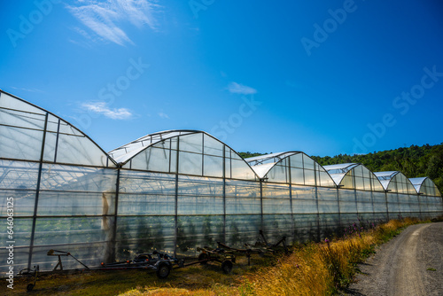 Exterior of a large greenhouse growing cucumbers. © Trygve
