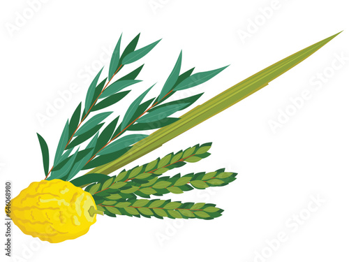 Happy Sukkot traditional symbols. Sukkot set of herbs and spices of the etrog, lulav, Arava, Hadas. Isolated on white background. Vector illustration