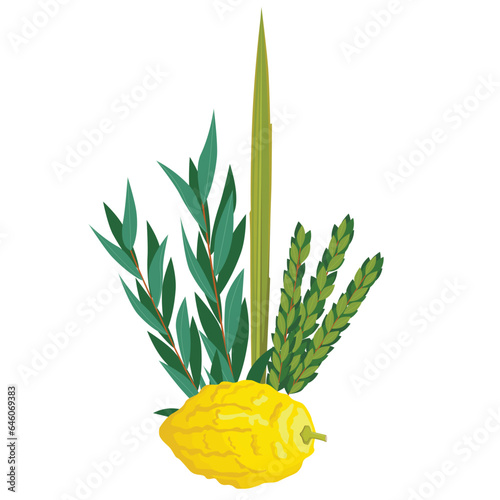 Happy Sukkot traditional symbols. Sukkot set of herbs and spices of the etrog, lulav, Arava, Hadas. Isolated on white background. Vector illustration