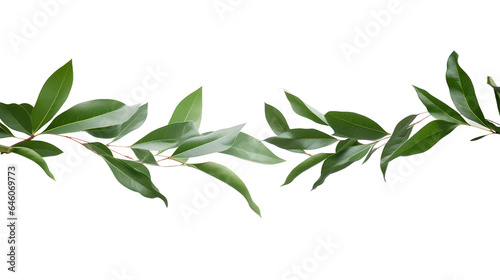 green leaves placed vertically, isolated on transparent background, Generative AI