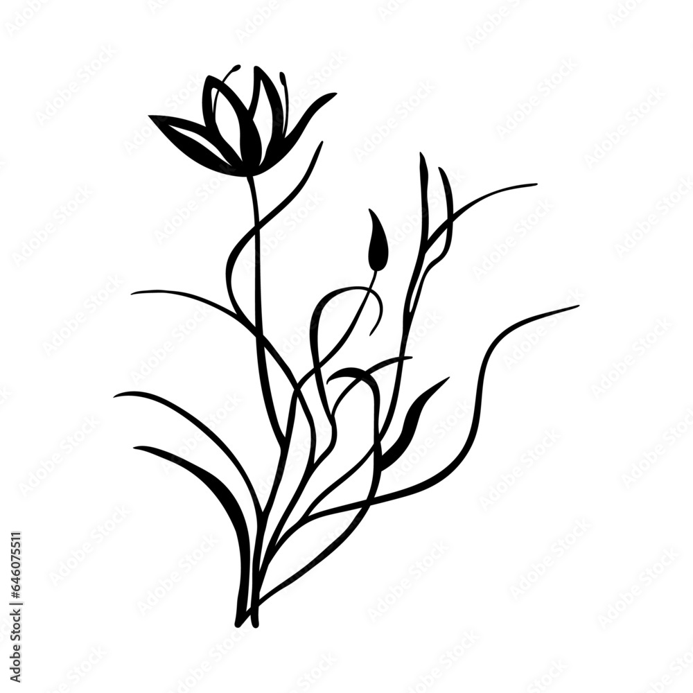 Naklejka premium Vector flowers of hand drawn, plants, leaves. Art floral elements. Use for t-shirt prints, logos, cosmetics and beauty design elements.