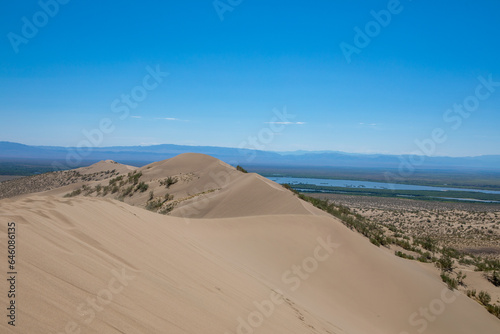 Flora of Singing dune  dune  in Altyn-Emel National Park  Almaty region  Kazakhstan.