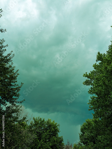 Storm clouds over the forest