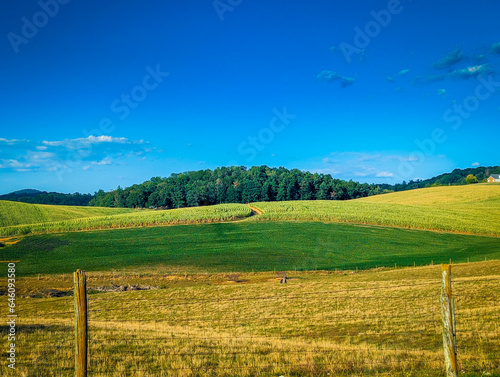 Mole Hill