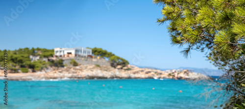 Greece Agistri island Aponisos beach. Blur background clear view of pine tree branch. Banner, space © Rawf8