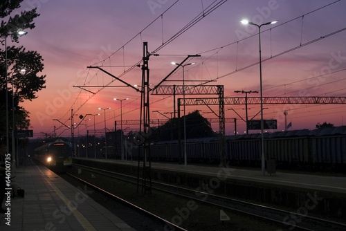 Train arrives at station in sunset scenery.