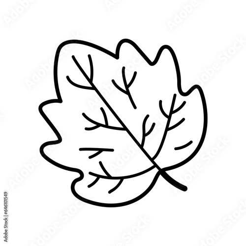 autumn leaf outline coloring vector illustration