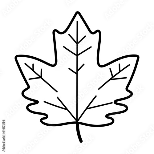 autumn leaf outline coloring vector illustration