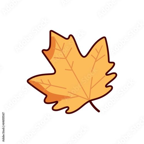 autumn maple leaf vector illustration