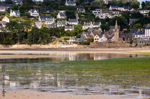 Green Algae Invasion: Ecological Concern in Saint-Michel-en-Grève, Brittany, France