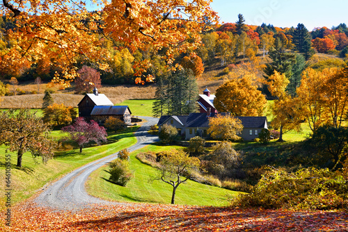 Fotografie Vibrant fallen autumn leaves with rustic wooden barn in the countryside near Woo