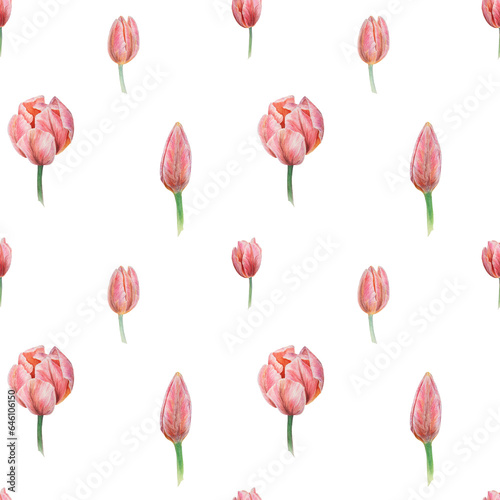 Pink tulips seamless pattern painted in watercolor, realistic botanical hand drawn illustration, background for design, wedding print products, paper, invitations, cards, fabric