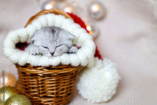 Funny kitten wearing red santa's hat sleeps in the basket.
