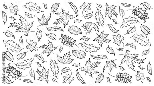 Autumn background with maple, oak and rowan leaves. Background template with flying and falling leaves. Seamless pattern. Isolated black outline on white background. Vector illustration
