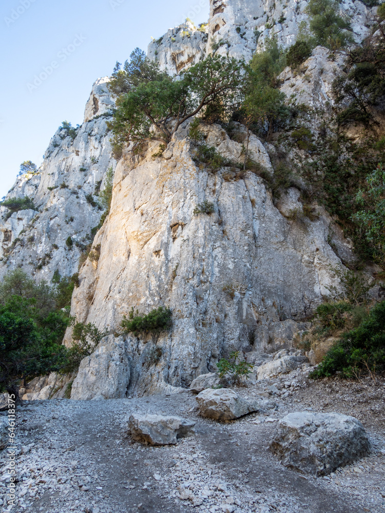 Obraz premium Path in the National Park of the Calanques near Cassis in south of France
