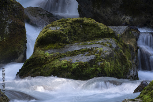 Fototapeta Naklejka Na Ścianę i Meble -  New Zealand river near Milford Sound in Fiordland National Park