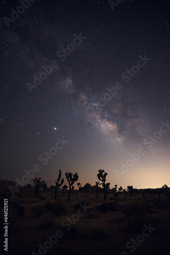 Milky Way over Joshua Tree National Park © AS Photo Video