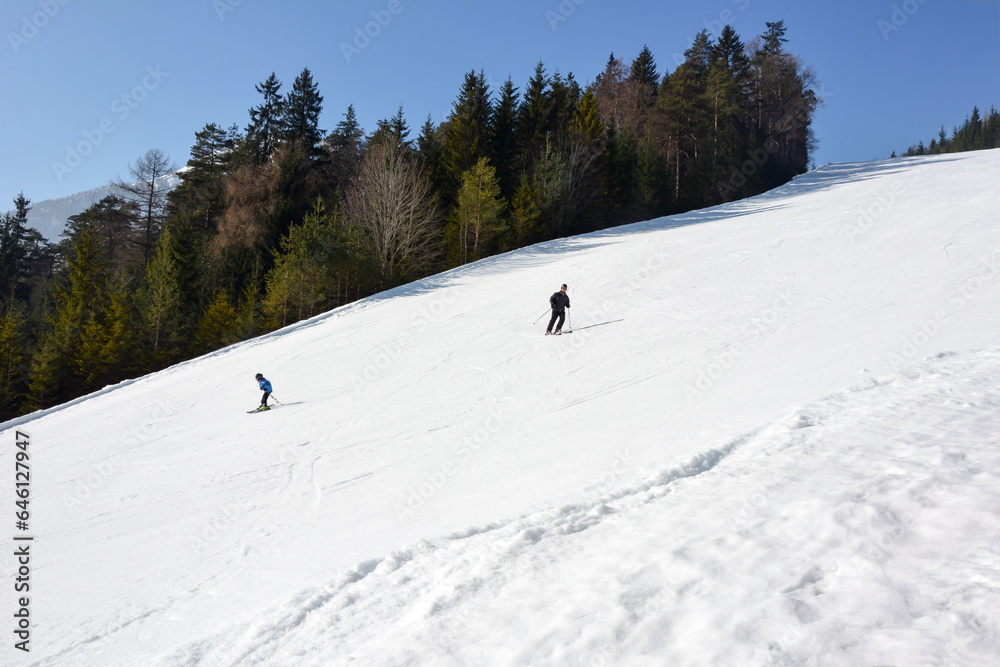 Two skiers are going down the snow track from the mountain against the background of trees. Active winter recreation