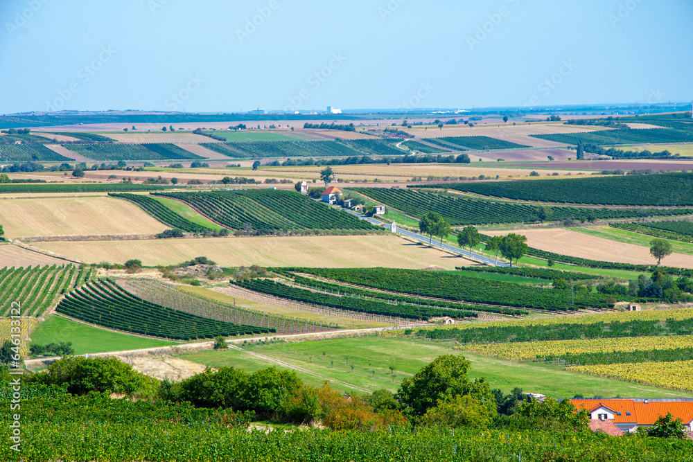 European summer rural landscape, rows of vineyards and fields, harvest, Austria.